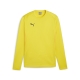teamGOAL Training Sweat