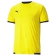 teamLIGA Jersey