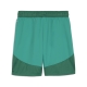 teamFINAL Shorts