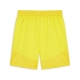 teamFINAL Shorts