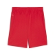 teamGOAL Shorts