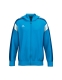 CELEBRATE 125 Training Jacket with hood