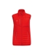 CMPT Puffer Vest