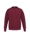 TS Sweatshirt