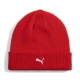 PUMA teamADDITIONS Beanie