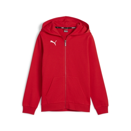 PUMA teamGOAL Casuals Hooded Jacket Jr