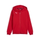 PUMA teamGOAL Casuals Hooded Jacket Jr