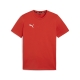 PUMA teamGOAL Casuals Tee