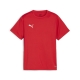 PUMA teamGOAL Jersey Jr