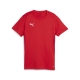 PUMA teamGOAL Jersey Wmn