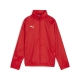 PUMA teamGOAL Allweather Jacket Jr