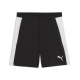 PUMA teamFINAL26 Training Shorts