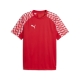 PUMA teamLIGA26 Jersey