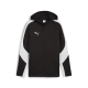 PUMA teamEVOSTRIPE Hooded Jacket