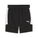 PUMA teamEVOSTRIPE Shorts