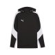 PUMA teamEVOSTRIPE Hoody