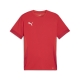 PUMA teamGOAL Matchday Jersey