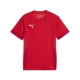 PUMA teamGOAL Matchday Jersey jr