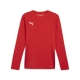 PUMA teamGOAL LS Jersey