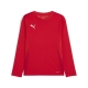 PUMA teamGOAL LS Jersey Jr