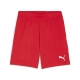 PUMA teamGOAL Shorts