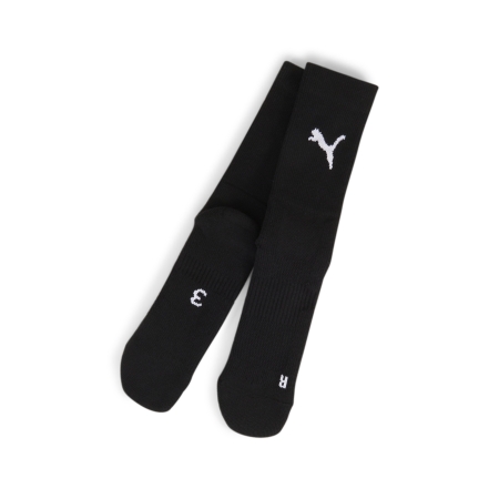 PUMA teamGOAL Performance Sock