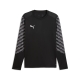 PUMA teamLIGA26 GK Jersey LS