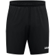 JAKO Trainingsshort Dynamic
