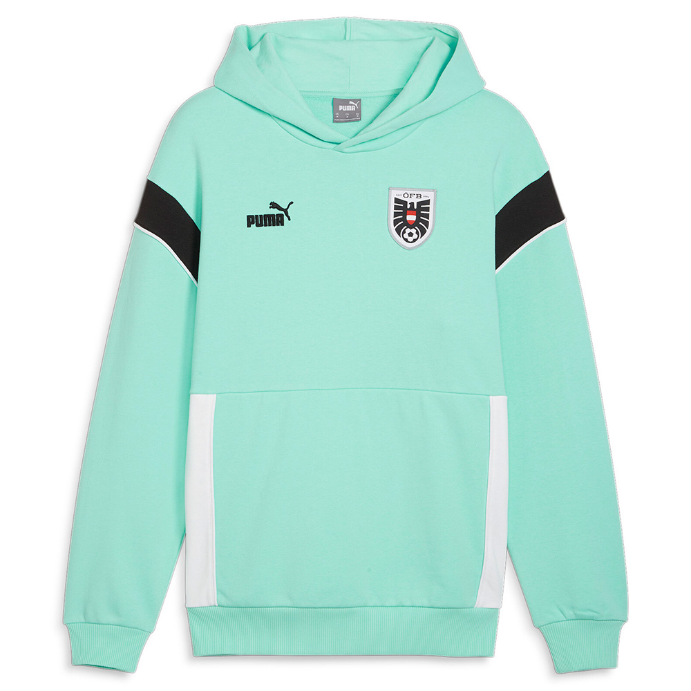 Puma Österreich FtblArchive Hoodie Herren
