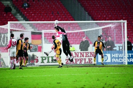 TSM-FC0821WEM FB-Tornetze 200/200 4 mm, weiß (2 Stück)