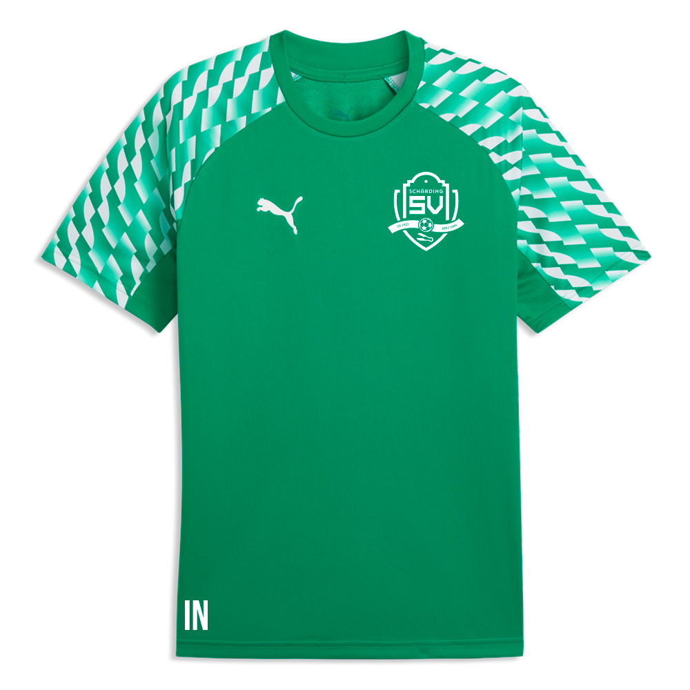 Puma teamLIGA26 Jersey - Schärding SV